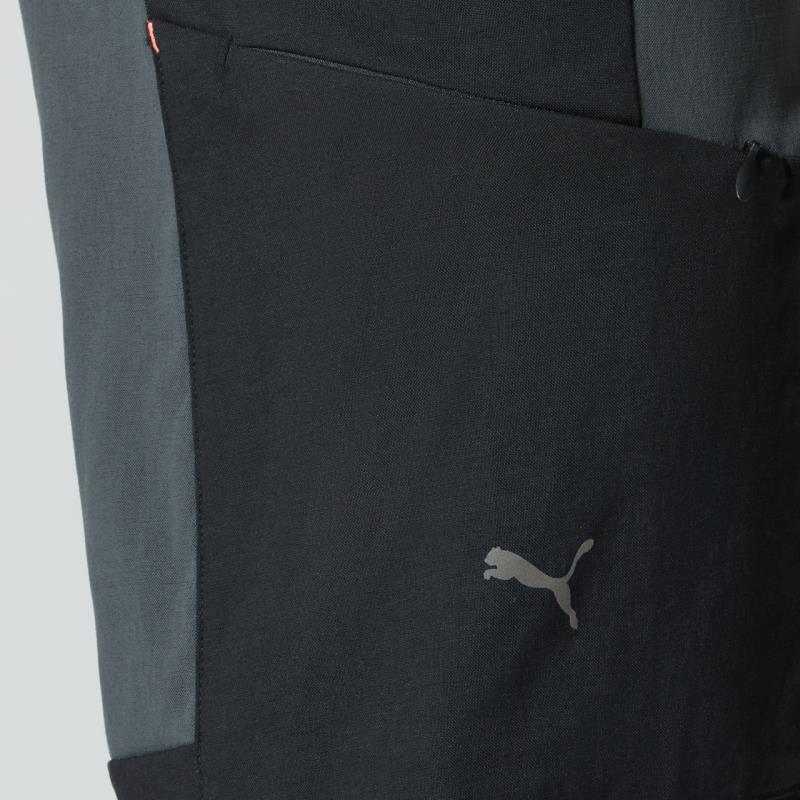 P 5070 M Porsche Design Cargo Shorts