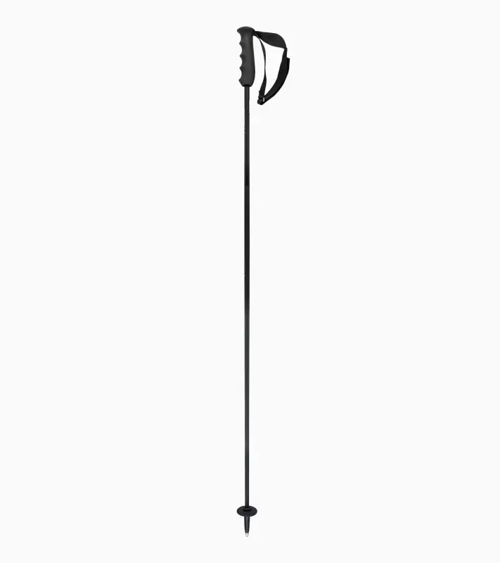 PORSCHE HEAD Carbon Ski Poles Hůlky lyžařské slezdové karbonové černá
