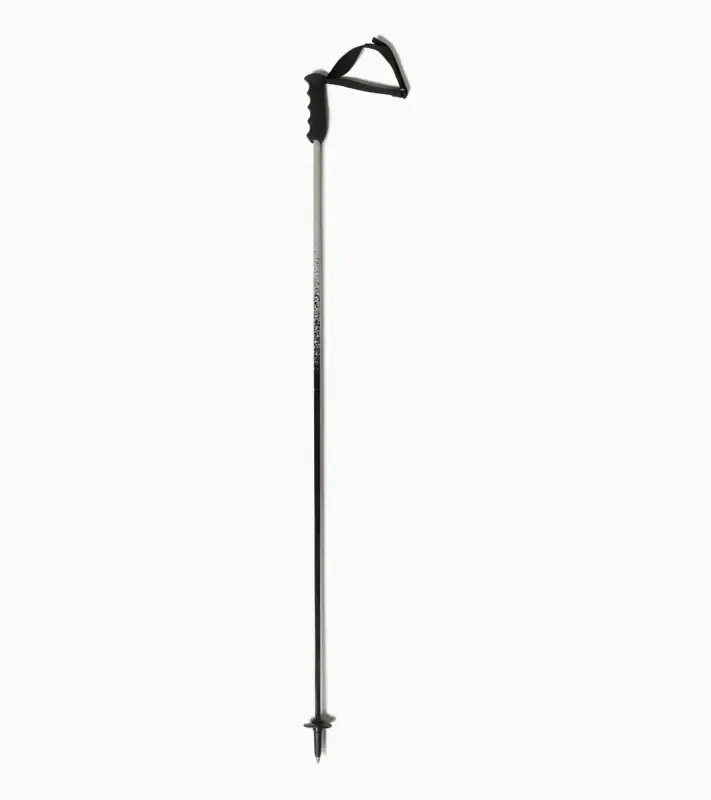 PORSCHE x HEAD Adventure ski poles Sjezdové hůlky z karbonu s ergonomickou rukojetí šedočerné s logy