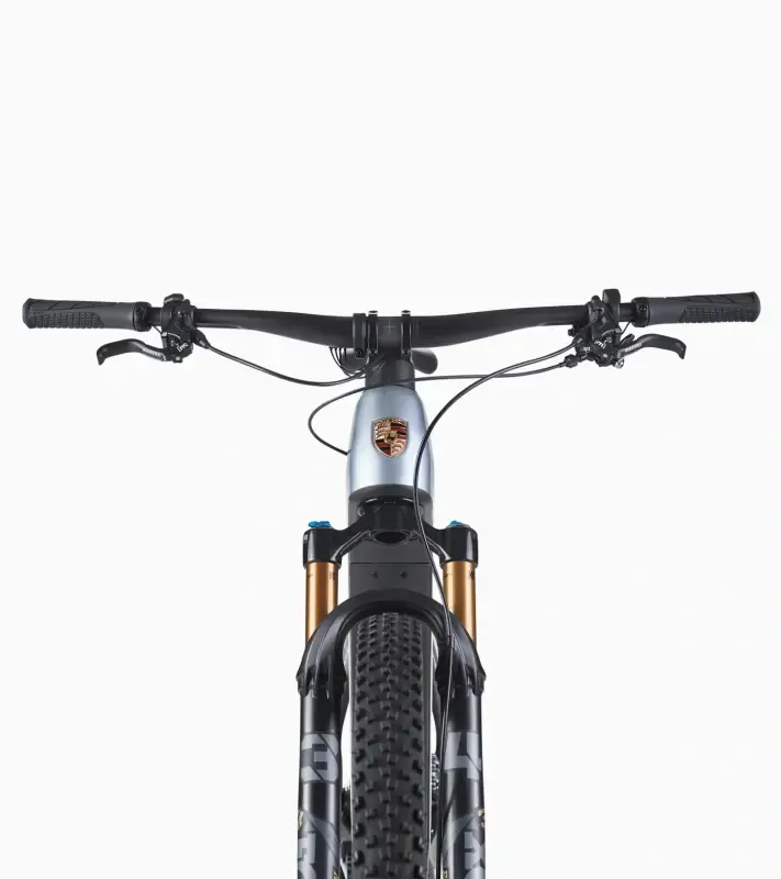 PORSCHE eBike Cross Performance Jízdní horské elektrokolo karbonový rám stříbrná