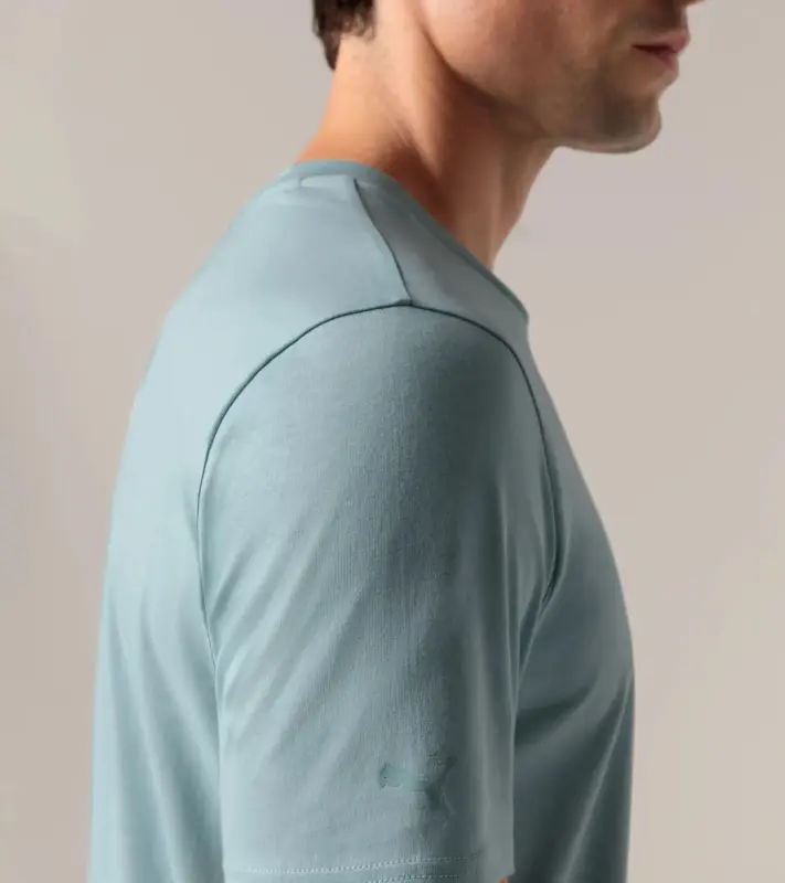 PORSCHE DESIGN T-shirt Essential Tričko volnočasové sportovní s kulatým výstřihem a logem mátová zelená