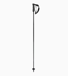 PORSCHE HEAD Carbon Ski Poles Hůlky lyžařské slezdové karbonové černá